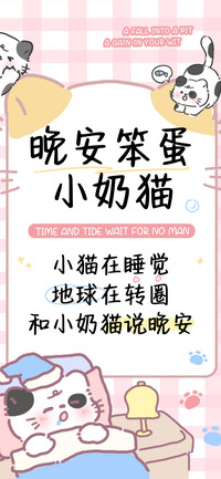 晚安笨蛋小奶猫