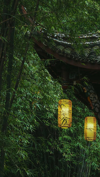 静享自然与心安