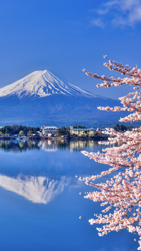 富士山60年来首次封山