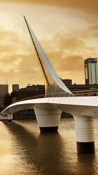 International-birdge