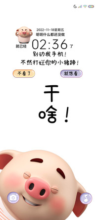 别动我手机猪小屁