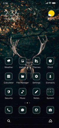 Deer in Dark