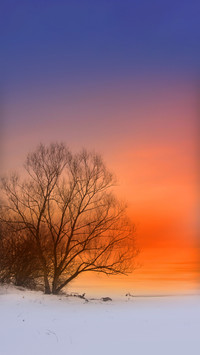 Winter Twilight