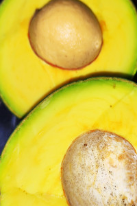 Avocado.jpg