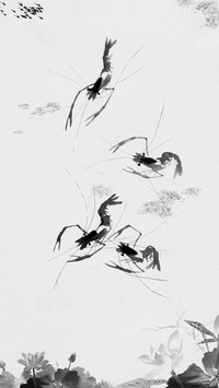 联系人
