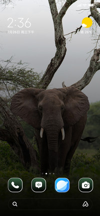 Field Elephant