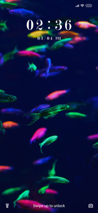 Neon Fish_3MDS