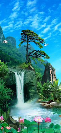 大自然美景