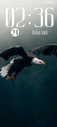 Eagle