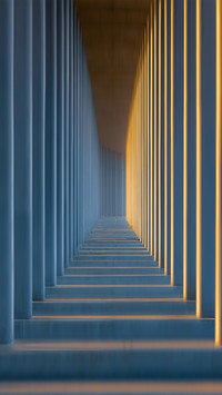 The lines of the building structure