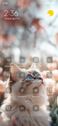 Ragdoll Cat