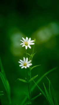 Warm spring sun