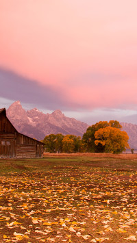 The autumn scenery of grand teton park