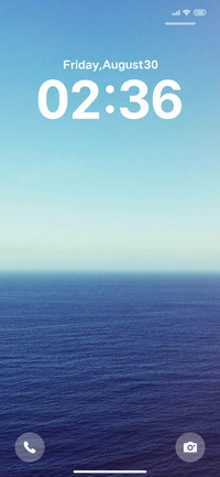 Native smart sea