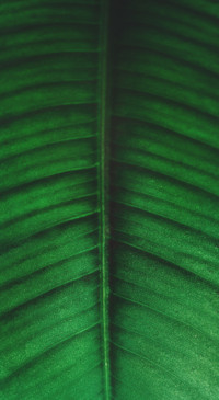 Abstract (11)