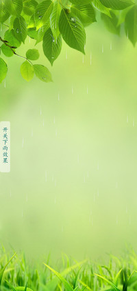 护眼清新