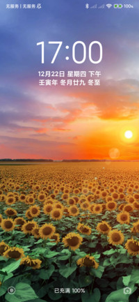 24H壁纸—花海