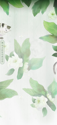 茉莉花喵小清新