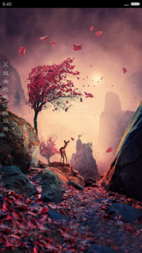  新3D重力+落叶特效 小鹿禾美