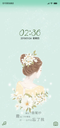 鱼尾纱之约