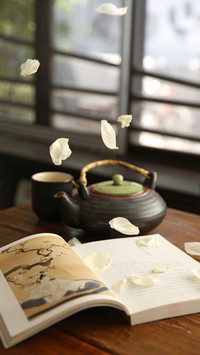 international_creative (1)