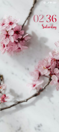 Blossoms