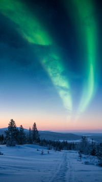 Brilliant galaxy