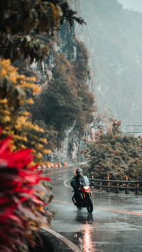 Cruise