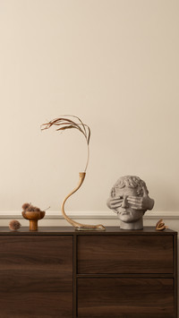 Aesthetic composition of living room interior