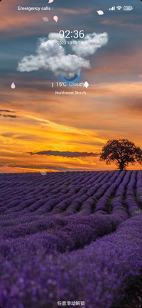 violetnight