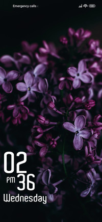 Geranium
