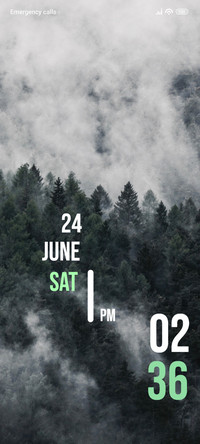 Forest Fog