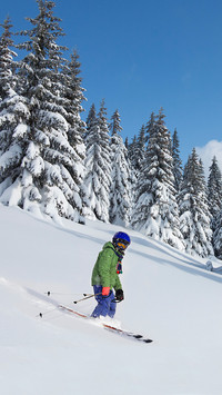 Winter skiing-19