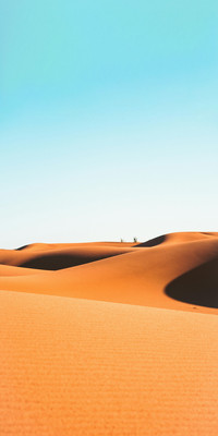 Desert 4.jpg