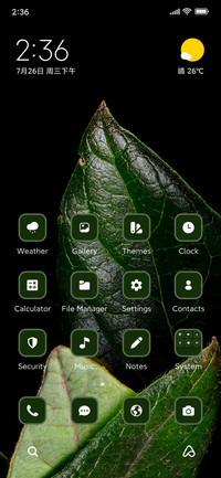 Leaf Beauty