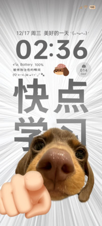 腊肠小狗学习壁纸