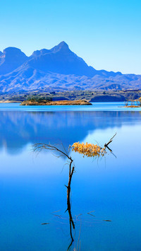 The silent lake