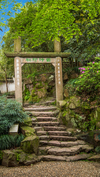 Traditional architecture