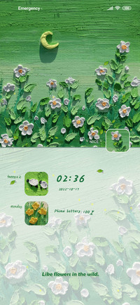 Wildflowers