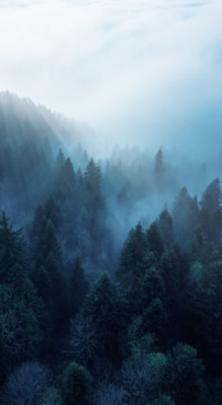 Climb the Mountain (16)