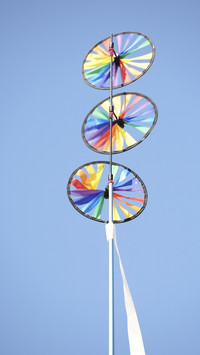 India-kite