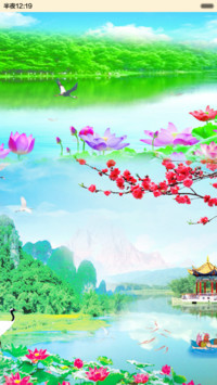 清雅荷花(iOS锁屏)