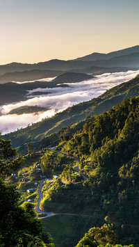 Vertical scenery