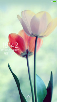 （好评发红包）鲜花