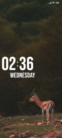 Deer Day