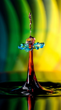 Macro  (15)