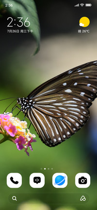 Striped Beauty