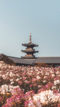 毕业旅行 苏杭在“召唤”你