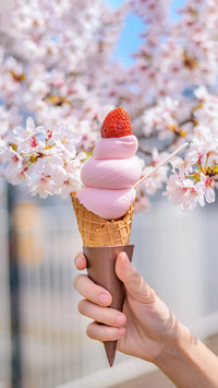 The difference between ice cream and ice cream