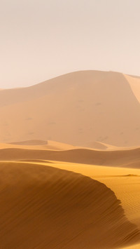 desert